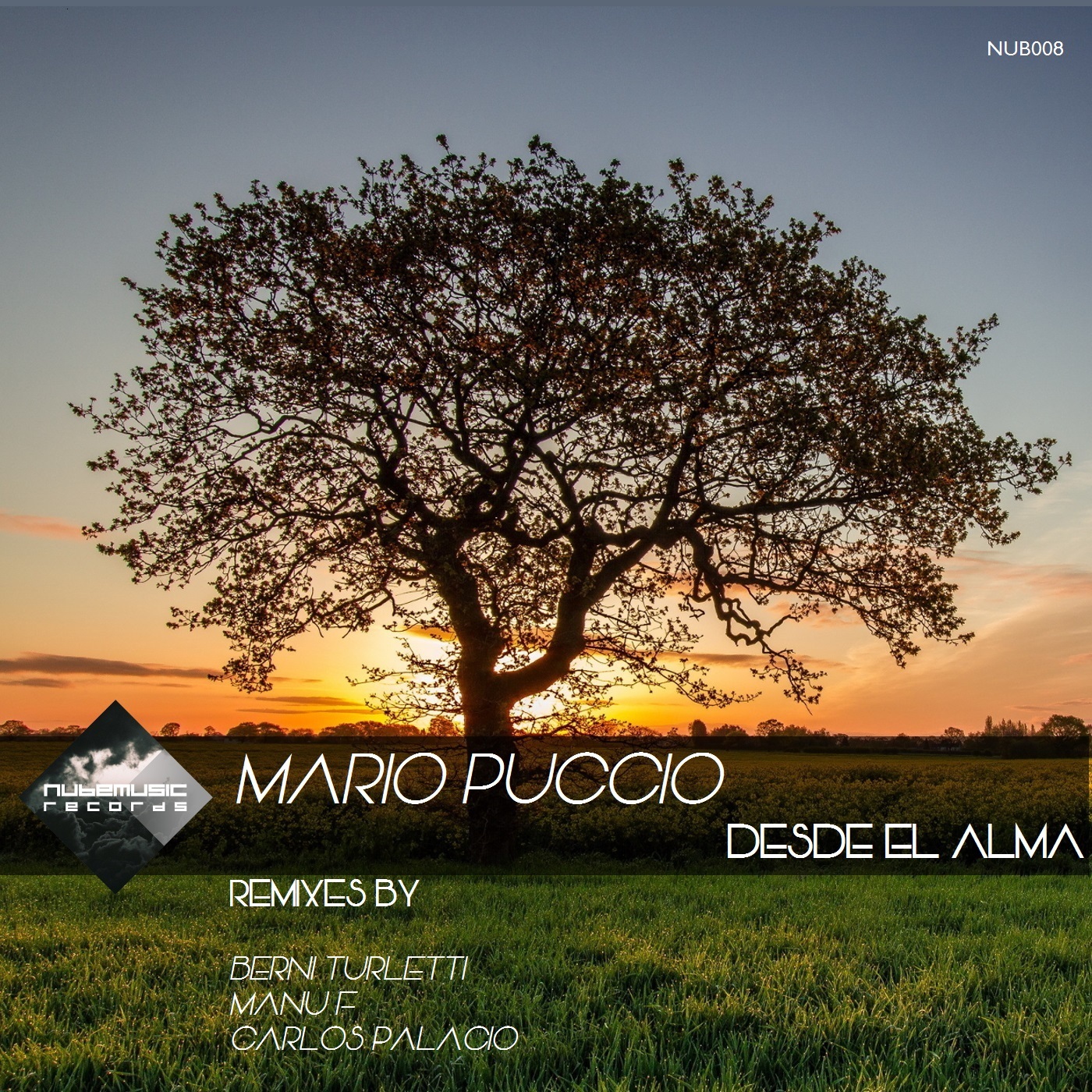 DESDE EL ALMA – MARIO PUCCIO